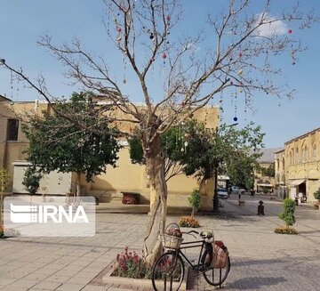درخت ارزو