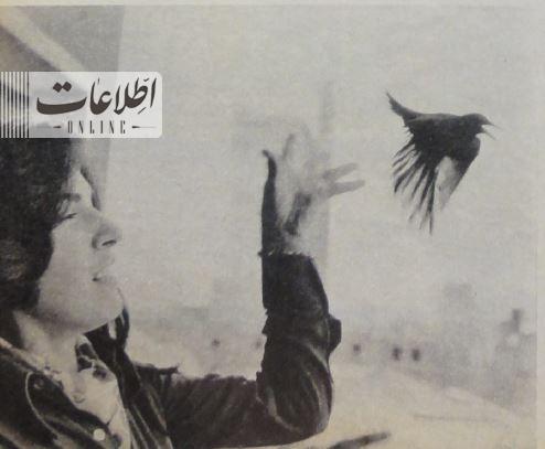 مرغی 2
