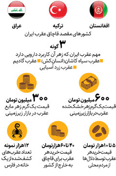 قاچاق عقرب