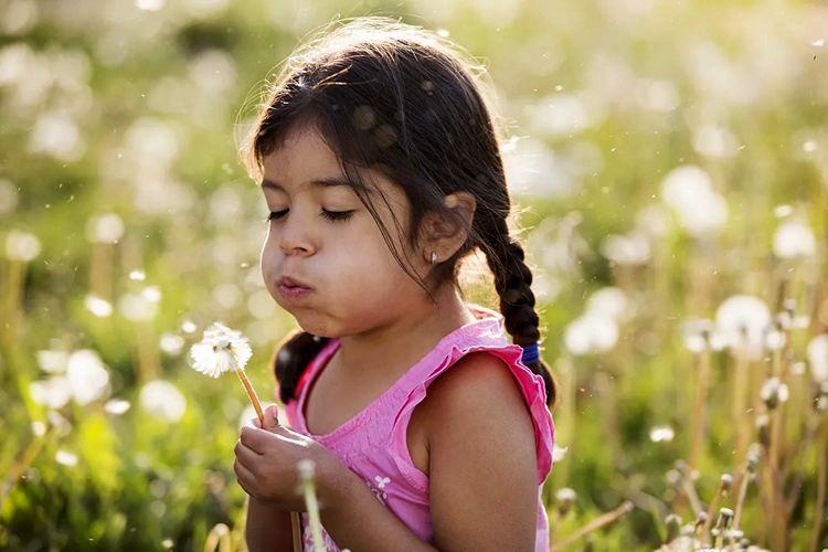 a-young-child-in-a-field-of-flowers-blowing-the-f-2023-11-27-04-58-14-utc1