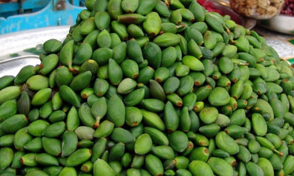 خطر مسمومیت با نوبرانه‌ بهار؛ مراقب مصرف این نوع چغاله‌ها باشید