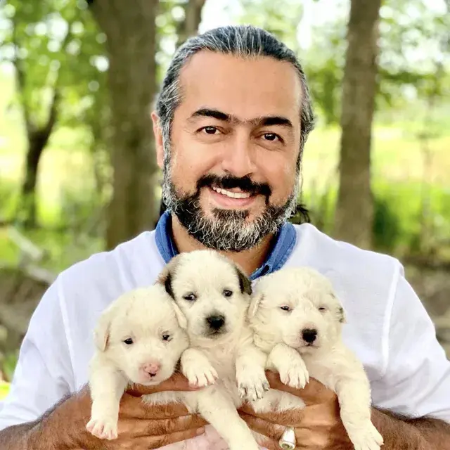 پرواز همای