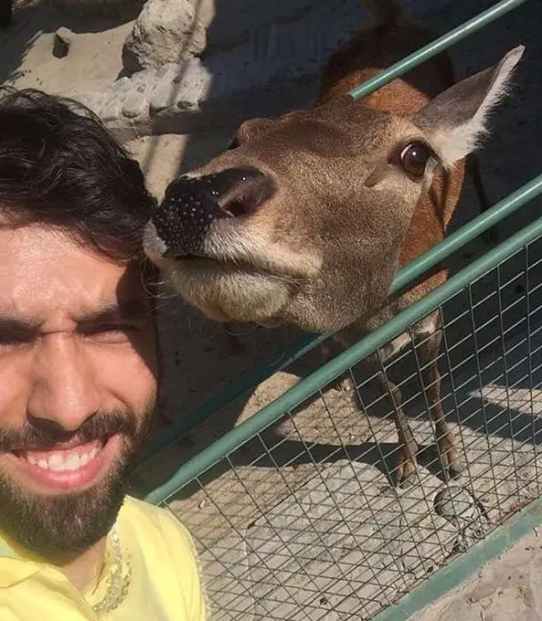 موسوی