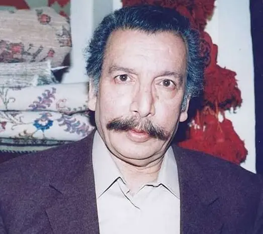 بهمن مفید